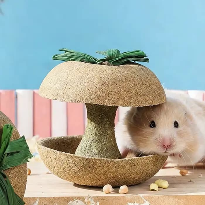 Biscuits à mâcher pour hamster