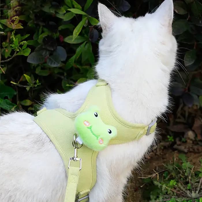Harnais et laisse pour chaton, anti-évasion, réglable, confortable et doux, anti-traction, pour la promenade