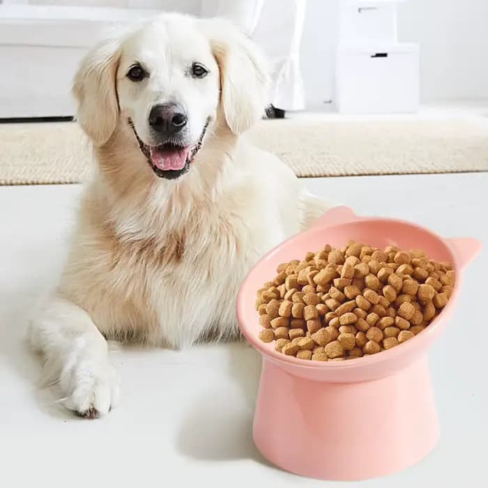 Bol incliné pour nourriture pour chat, bol surélevé pour chat, plat ergonomique pour nourriture pour chat, bol d'alimentation en plastique anti-vomissement, antidérapant pour chats et chiens