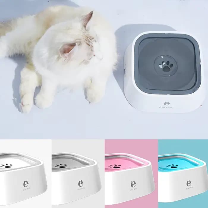 Bol flottant pour chien