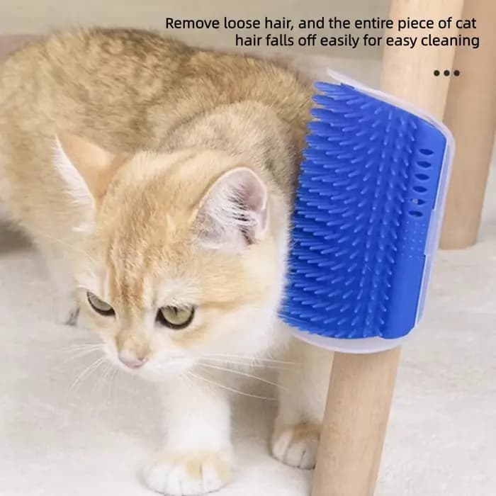 Brosse de massage pour chat