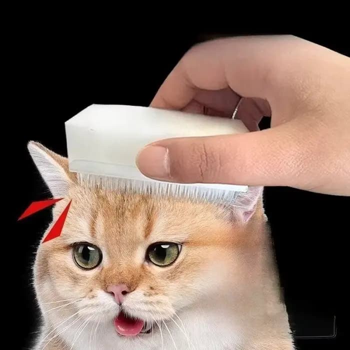 Brosse de Massage pour chat
