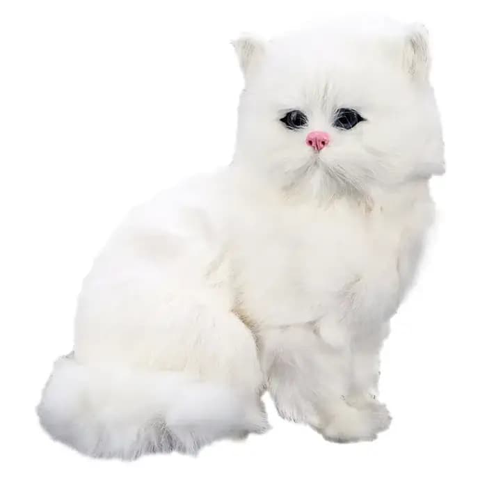 1 jouet en peluche chat persan blanc – Animal