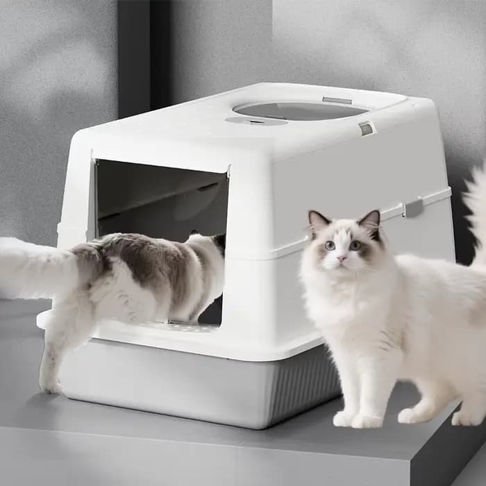 Grand bac à litière rabattable entièrement fermé pour chat