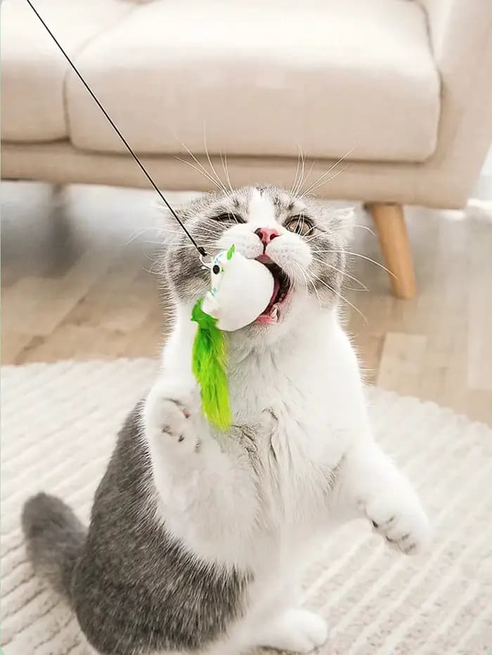 Jouet coule simulant un oiseau pour chat