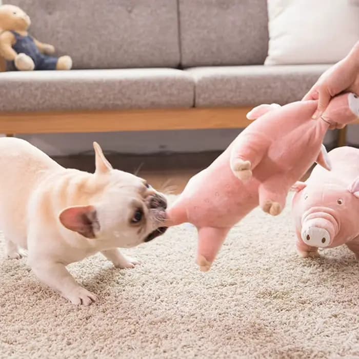 Jouet à mâcher en peluche pour animaux de compagnie