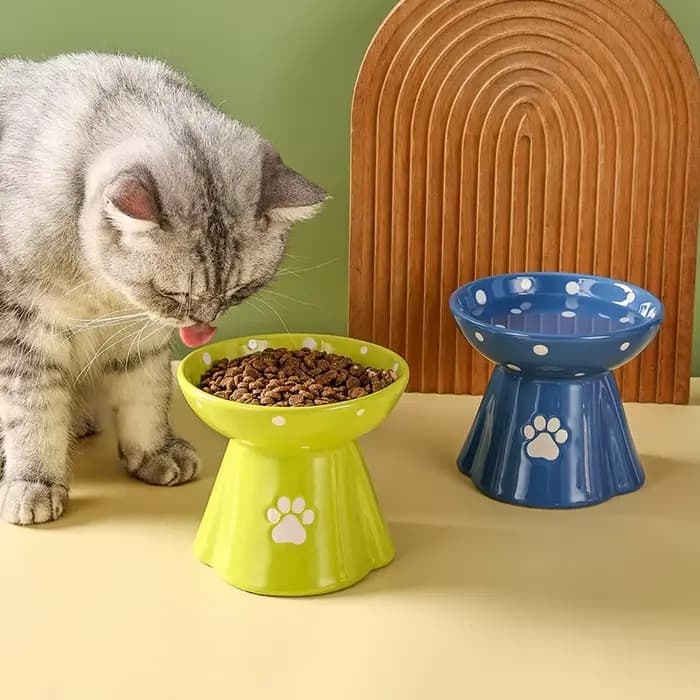 Bol pour chat en céramique