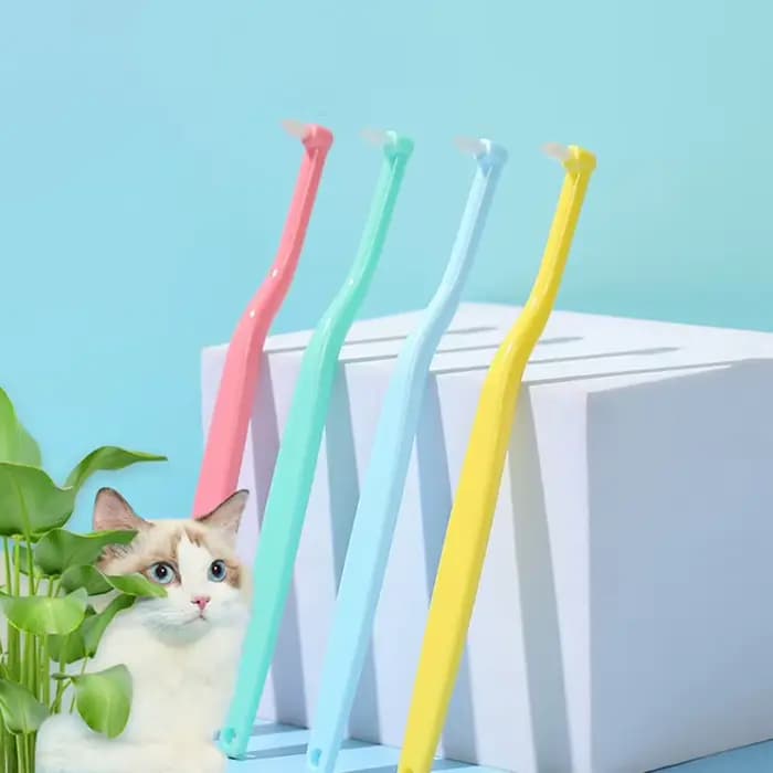 Brosse à dents pour chien