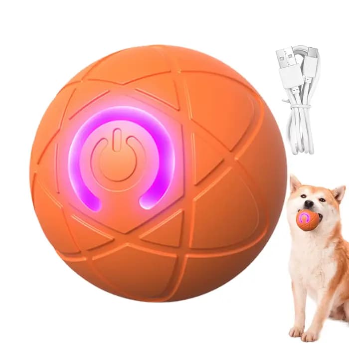 Jouet pour animaux de compagnie