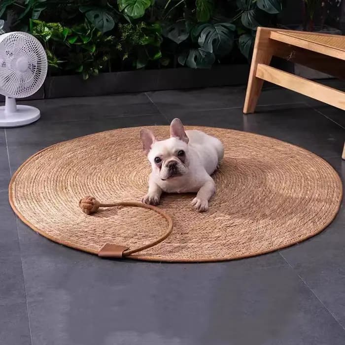 Tapis à gratter en rotin pour chat