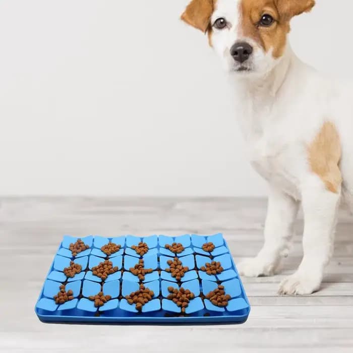 Coussinets à lécher en silicone pour chiens