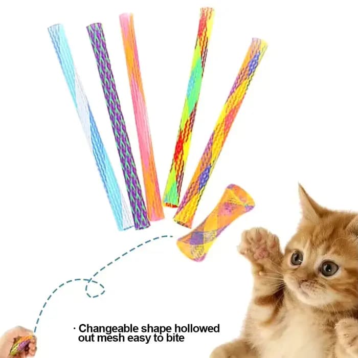 Jouets à ressort pour chaton et chat