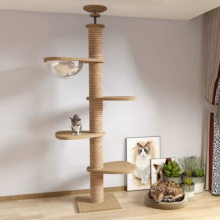 Arbre à chat de haute qualité en bois massif