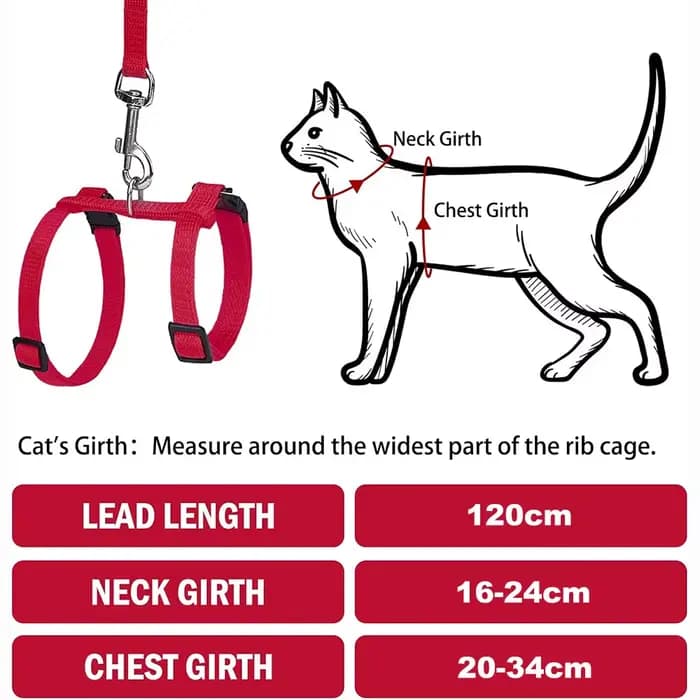 Ensemble harnais et laisse pour chat