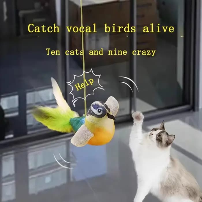 Jouets pour chats d'intérieur