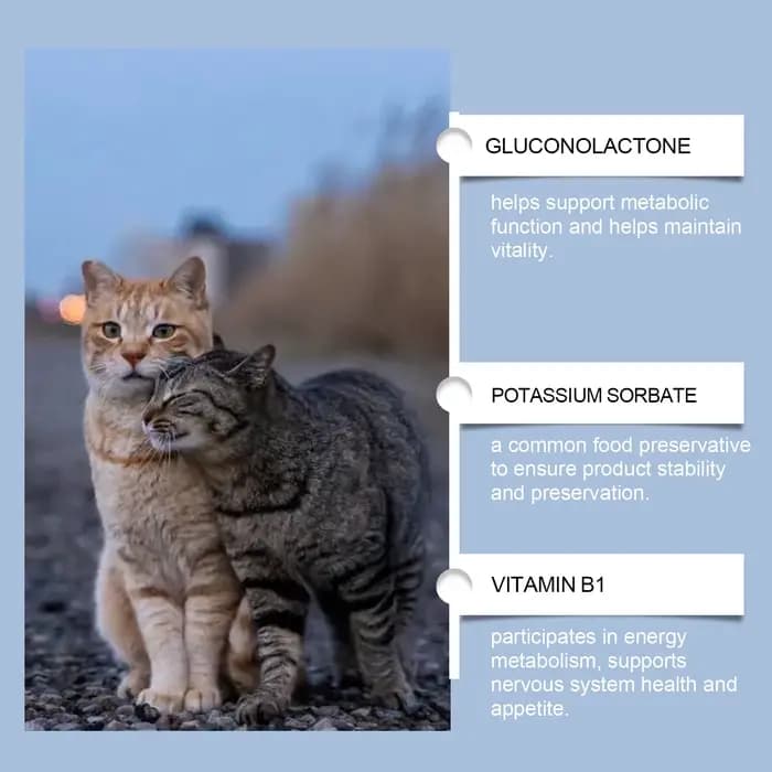 Yegbong 50 ml supplément vitaminique pour chat soins quotidiens pour aider à la nutrition, favoriser la croissance et soutenir la récupération du chat, gouttes de soins vitaminiques