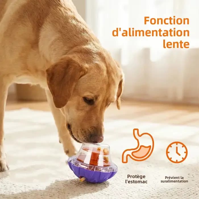 Jouet interactif pour animaux de compagnie : Distributeur de nourriture amusant pour chiens et chats