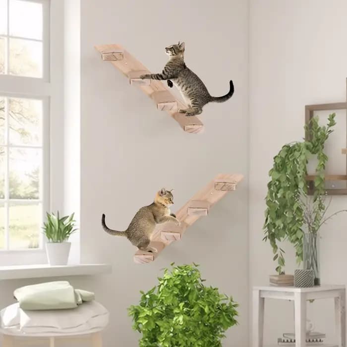 Étagère murale d'escalade pour chat