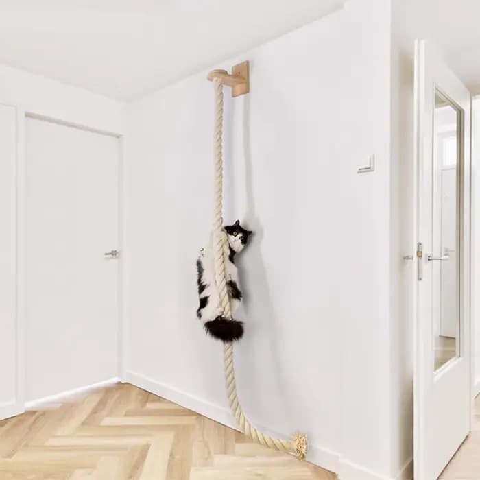 Corde en Sisal de 140cm pour chat