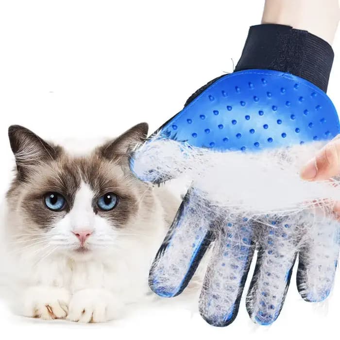 Gant de toilettage pour chat