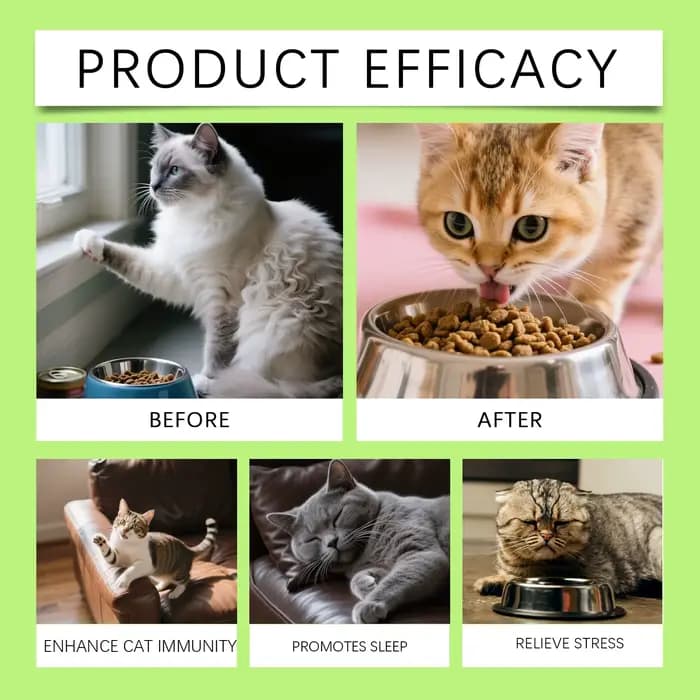 Gouttes Probiotiques 3-en-1 pour Chats : Soutien Digestif