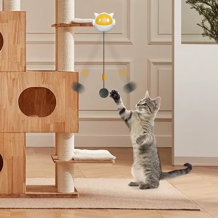 Jouet pour chat à levage automatique
