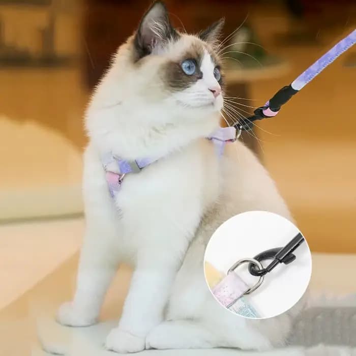 Ensemble Harnais et Laisse Réglables pour Chat