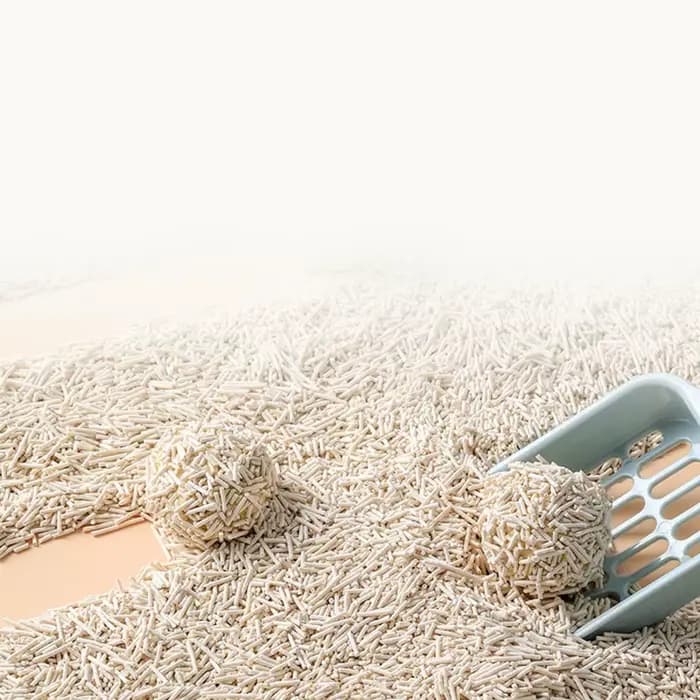 Litière pour chat Tofu 6L à gratter rapidement