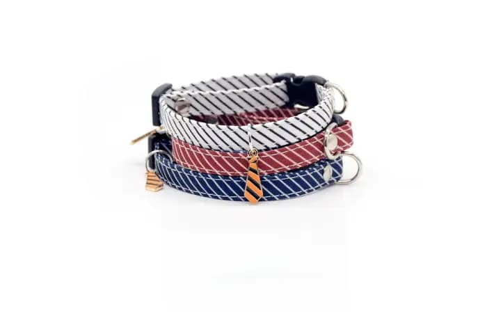 Collier pour chat à rayures avec nœud papillon