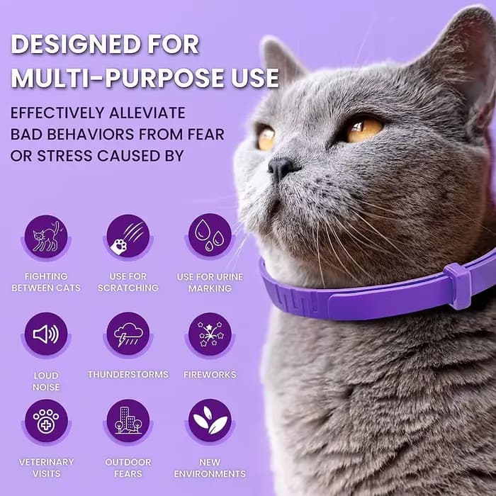 Collier apaisant pour chats
