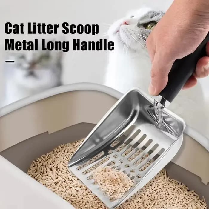 Nettoyage au sable pour chat