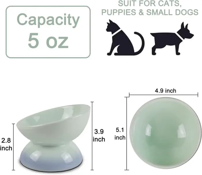 Bols surélevés en céramique pour chat
