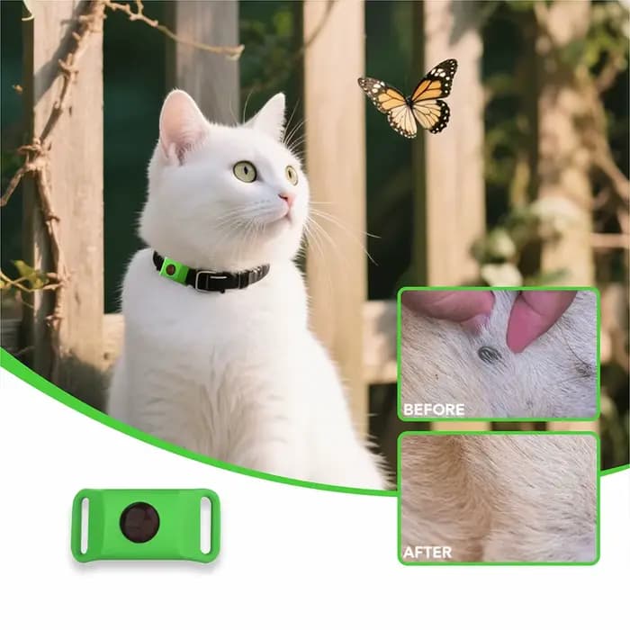 Huiles naturelles anti-puces et anti-touche pour collier de chiens et de chats
