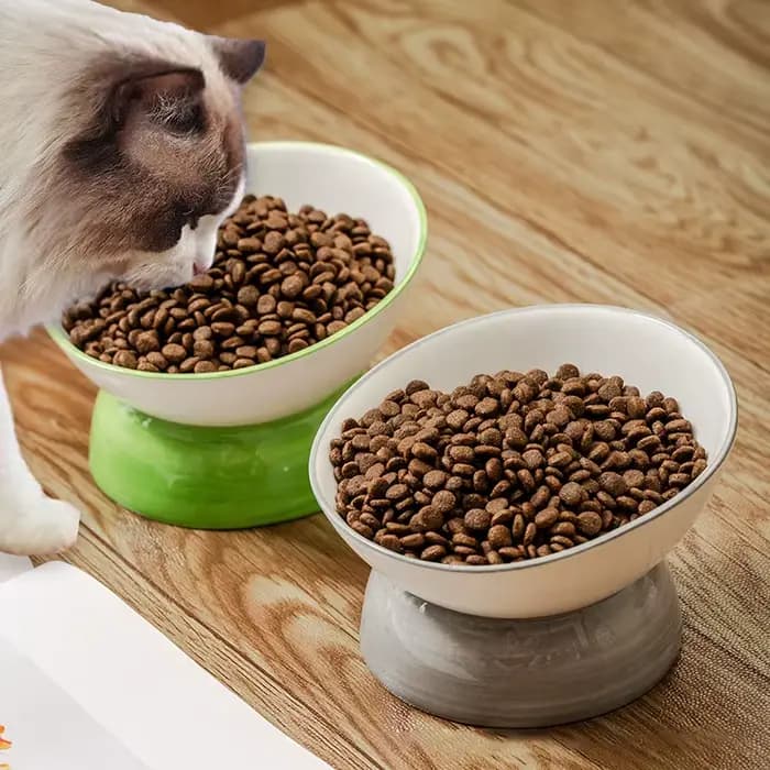 Bol pour chat 1 pièce, bol de nourriture incliné en céramique