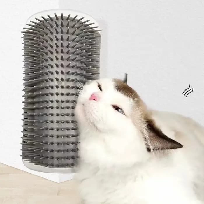 Brosse de Massage pour chat