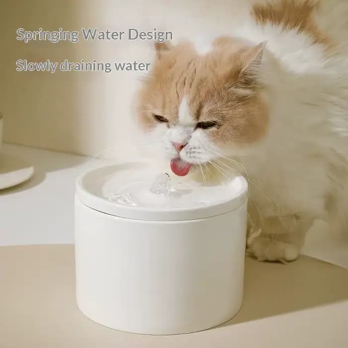 Distributeur d'eau automatique pour chat