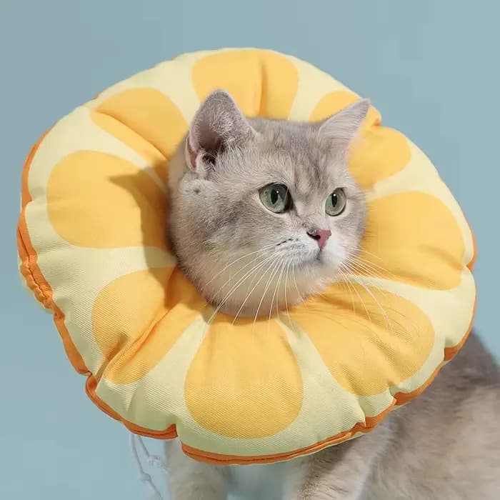 HOOPET – collier élisabéthain pour chat