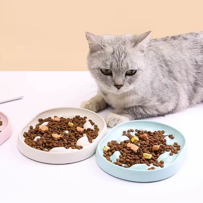 Bol pour chien et chat