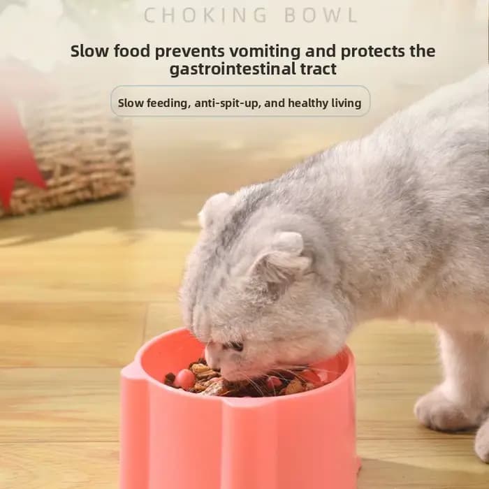 Bol de nourriture lente pour chat