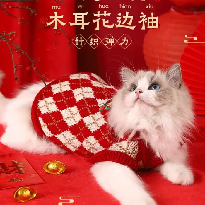 Vêtements pour chat chaton vêtements d'hiver automne gilet pour animaux de compagnie hiver chien chaud rouge pull de noël