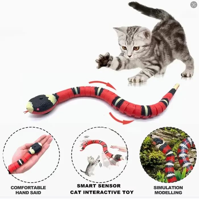 Jouets automatiques pour chats