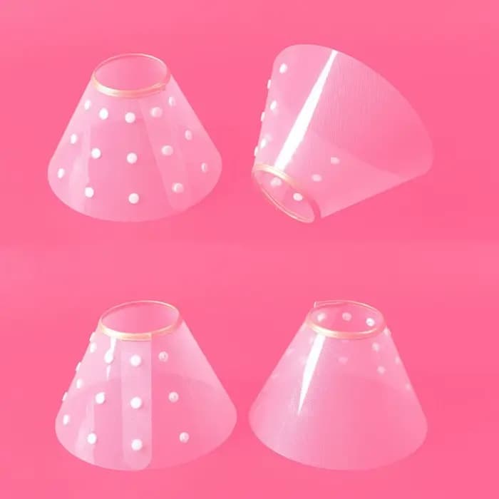 Collier de récupération Transparent pour chat