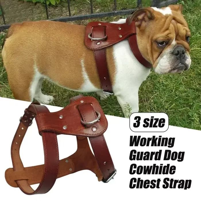Harnais en cuir véritable pour chien et chat