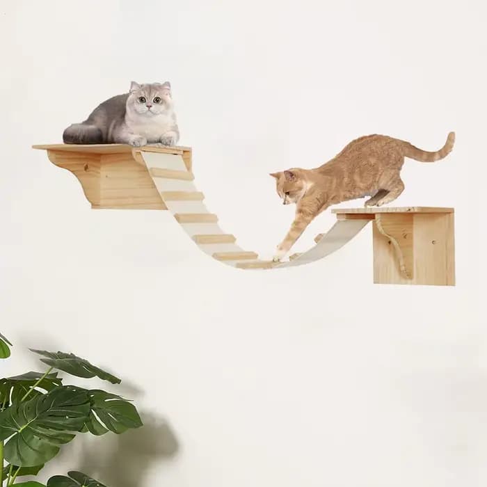 Étagères d'escalade murales pour chat