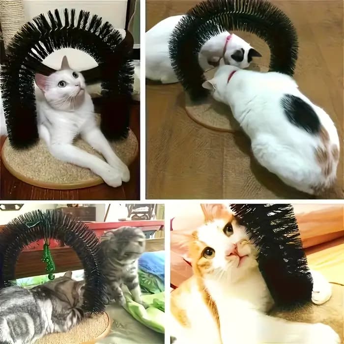 Brosse de remplacement pour l'auto-toilettage des chats, peigne arqué avec masseur détachable pour l'élimination des poils, cadeau de soin pour chats d'intérieur
