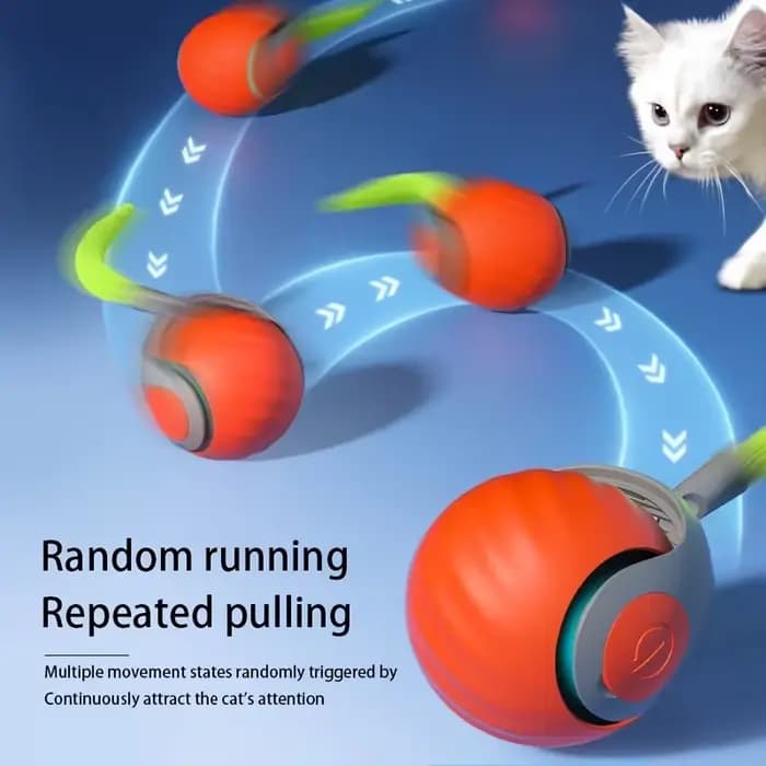 Jouets intelligents pour chat
