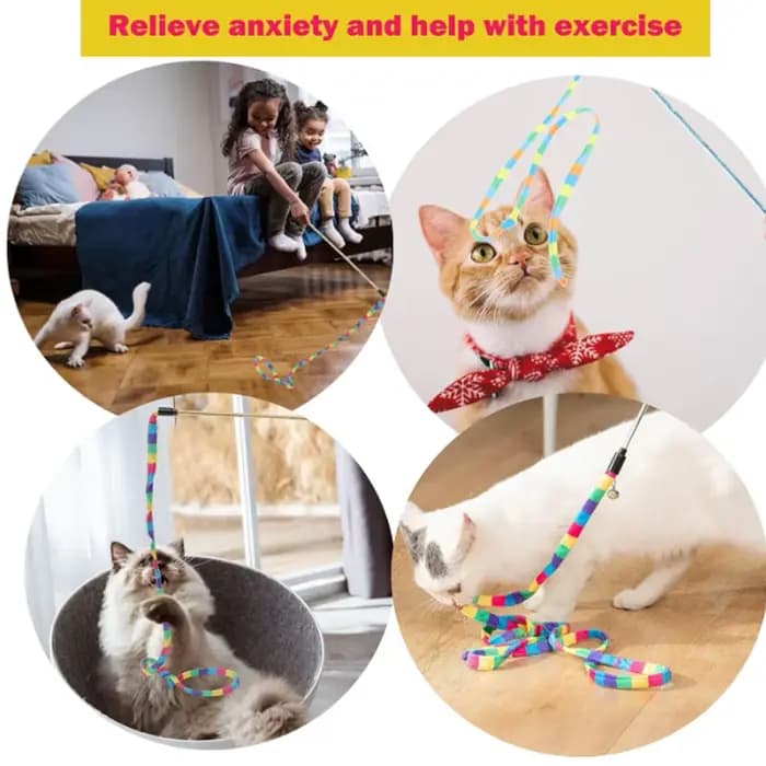 Jouet arc-en-ciel interactif pour chat