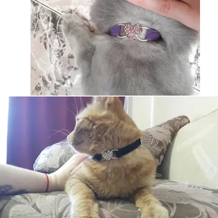 Collier de chat à breloque en forme de cœur et cloche