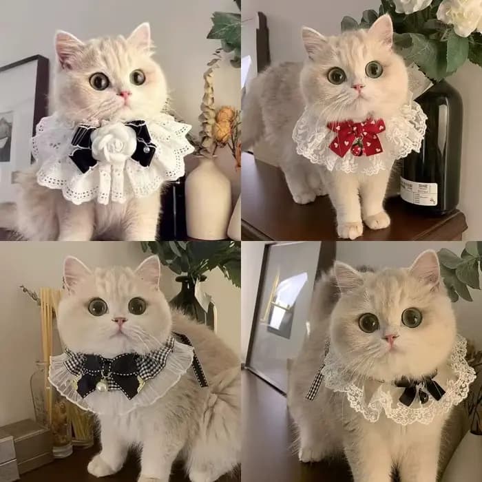 Collier pour chat et chien en soie