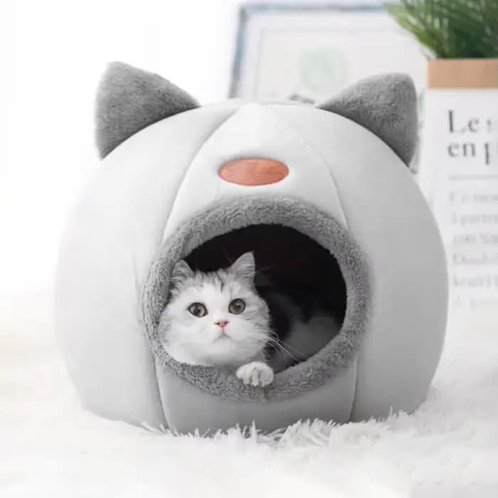 Nouveau lit pour chat confortable pour l'hiver
